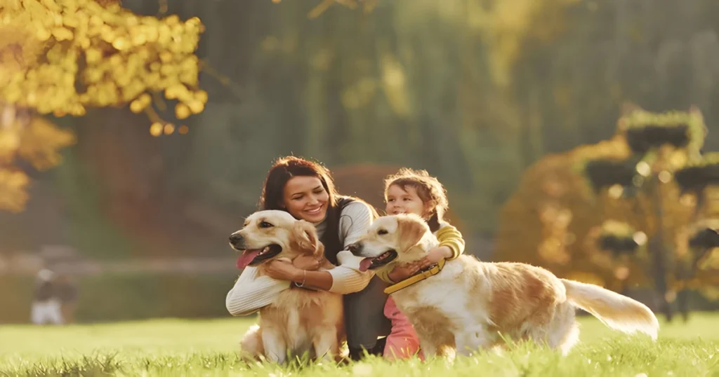Top 10 Family-Friendly Dog Breeds for First-Time Owners 26 Family Friendly Dog Breed