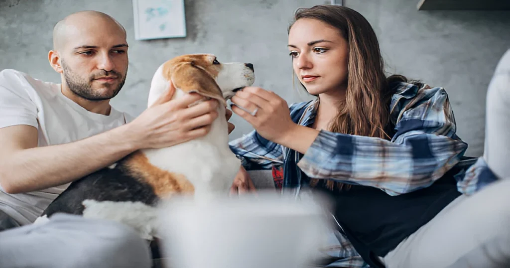 8 Low-Maintenance Dog Breeds for Busy Pet Parents 23 Discover the best 8 low-maintenance dog breeds for busy pet parents.